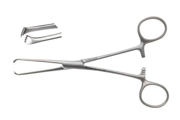 Allis Tissue Forceps Price in Pakistan - Image 2