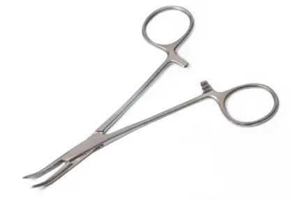 Artery Forceps Curve